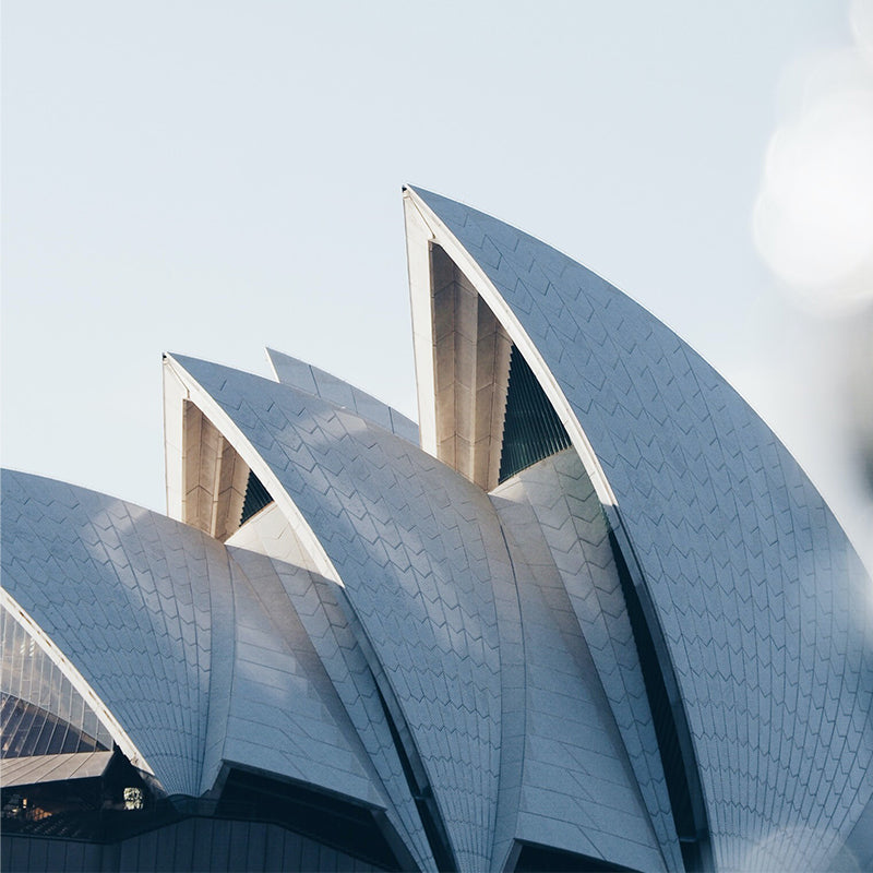 Sydney Opera House Fins by Connor Meakins